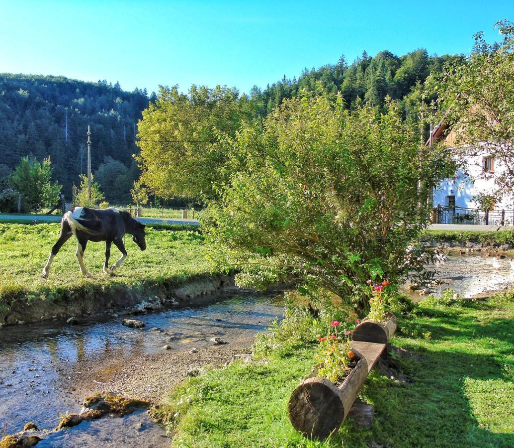 Guest House Koncar Plitvička Jezera Esterno foto